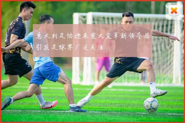 意大利足协迎来重大变革新领导层引发足球界广泛关注